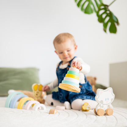 Baby speelgoed met houten stapeltoren in pastelkleuren, montessori educatief speelgoed getoond frontaal
