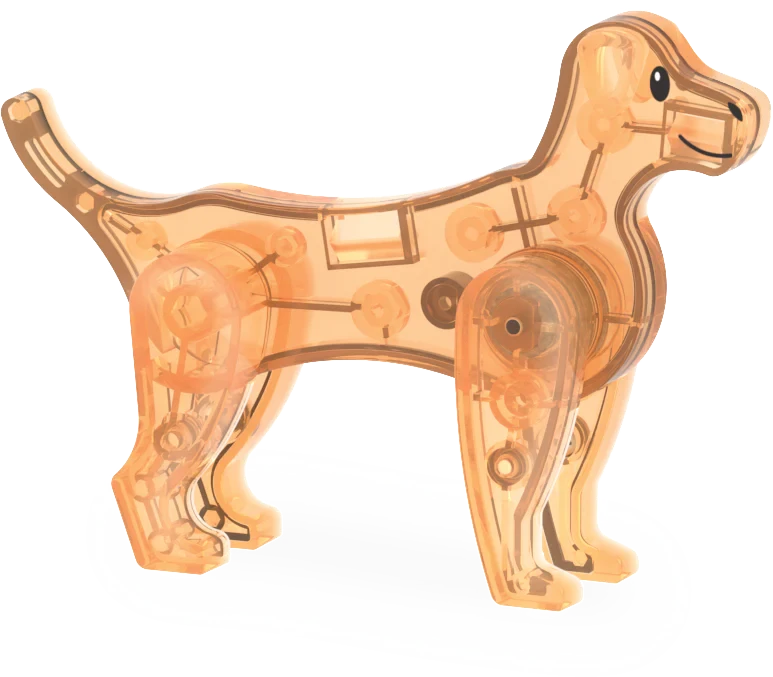 Magna-Tiles Pet Playhouse - 50-delige bouwset | Sazo Kids & Co Magna-Tiles Pet Playhouse - 50-delige bouwset | Sazo Kids & Co
