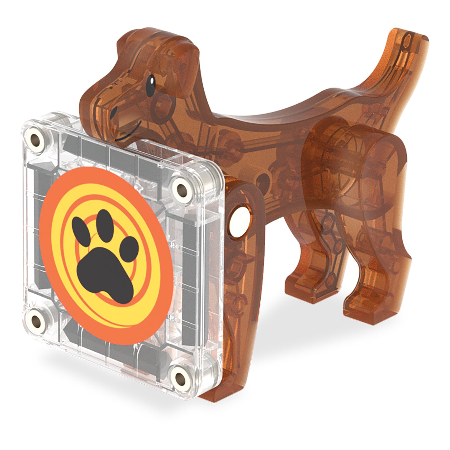 Magnetic magna tiles bruine hond figuur en transparante pootafdruk tegel close-up detail magnetisch