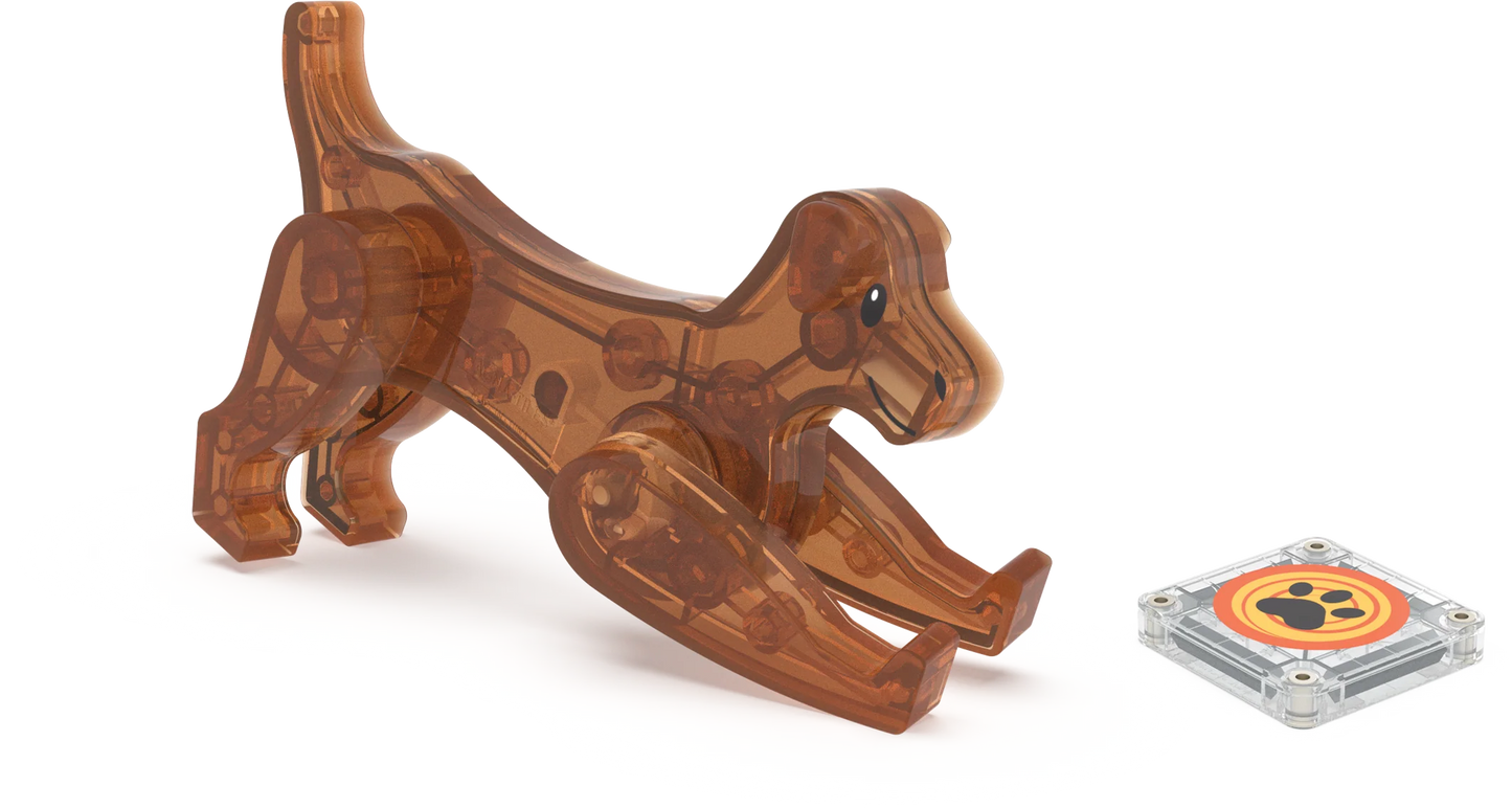 Close-up van een bruine doorzichtige hond van magnetisch speelgoed, met pootafdruk-tegel van Magna Tiles.