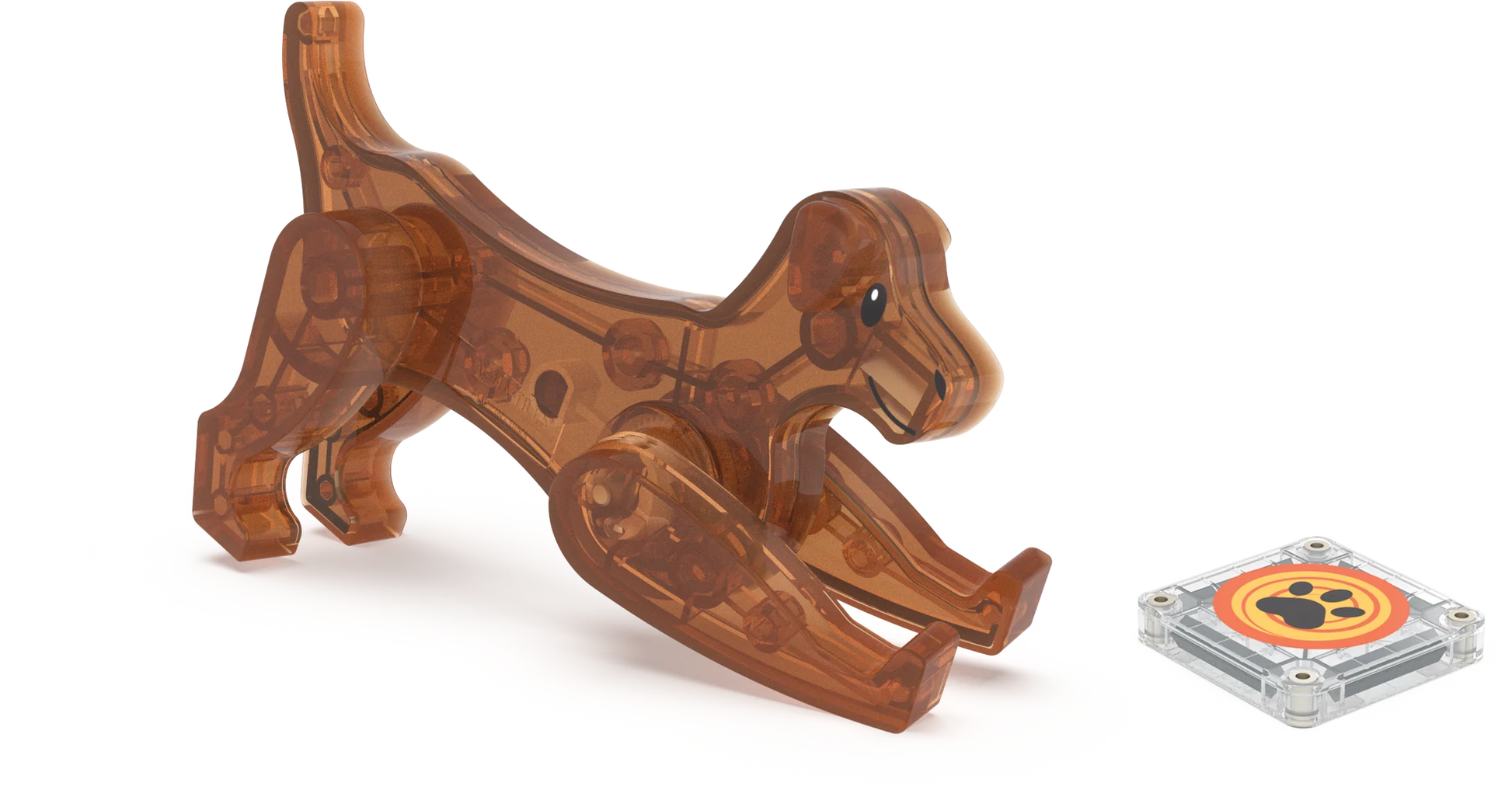 Close-up van een bruine doorzichtige hond van magnetisch speelgoed, met pootafdruk-tegel van Magna Tiles.