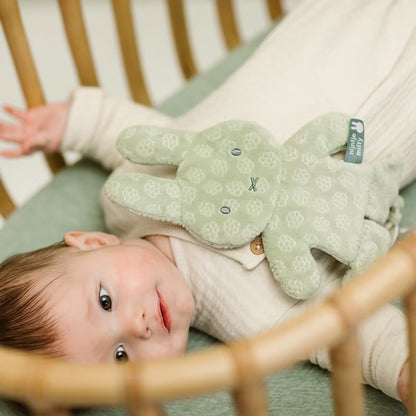 Baby in wieg met het Nijntje Speendoekje green flower, zachte speenknuffel ideaal voor troost en geborgenheid.