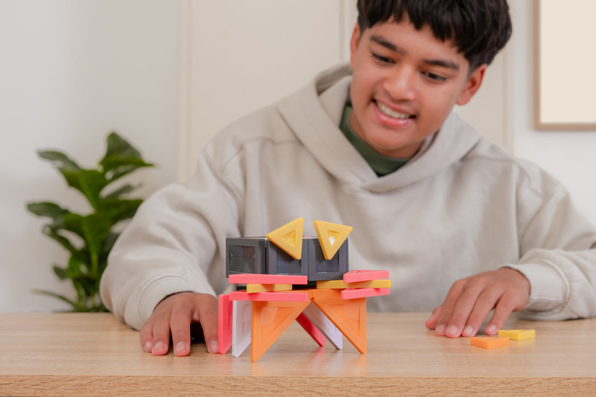 PRO magnetische tegels tiener bouwt krab gevorderde bouwers bouwspeelgoed voor volwassenen kidults
