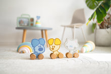 Houten Woezel en Pip figuren op wieltjes detail foto met pastelkleurige regenboog, baby speelgoed